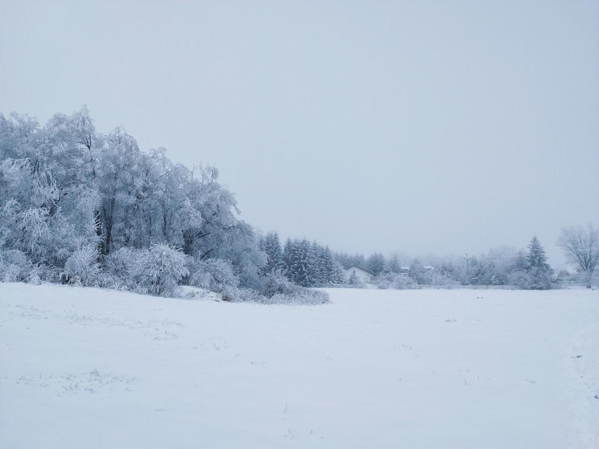 Penzion U Zpevaku โนเวฮูเต ภายนอก รูปภาพ