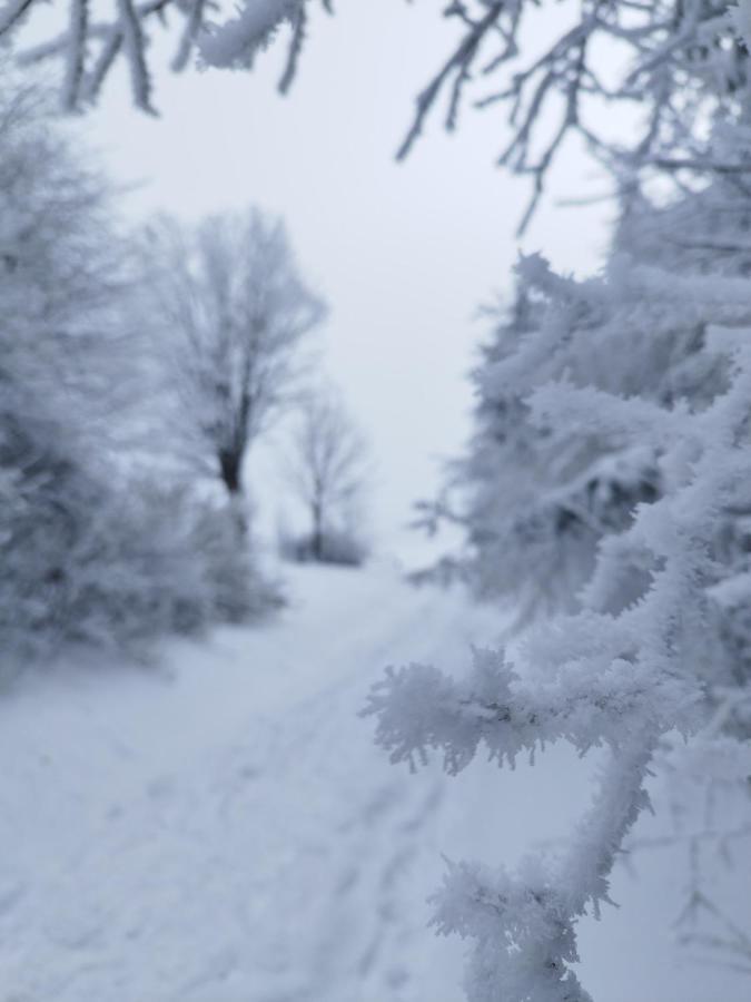 Penzion U Zpevaku โนเวฮูเต ภายนอก รูปภาพ